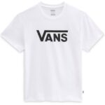 VANS Flying V Crew T-shirt White