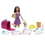 Barbie Doll And Accessories Pup Adoption Playset With Doll 2 Puppies And Color-Change