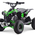 EL ATV Renegade Brushless 1200W 48V Kardan