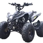 EL ATV Brushless Shaft 800W 48V