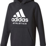 SID Hoodie
